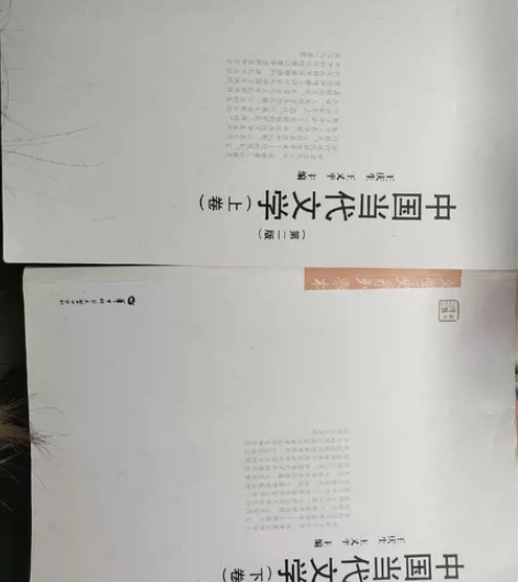 中国当代文学王庆生 华中师范大学出版社 上...