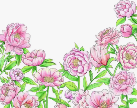 上色 IP形象设计，线稿，企业吉祥物设计，...