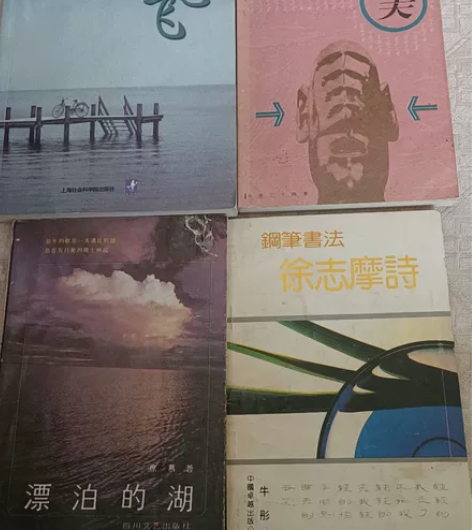 徐志摩的《想飞》，俞汝捷的《小说24美》，...