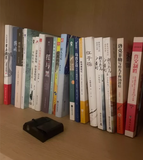 嫌疑人X的献身 东野圭吾日侦探悬疑推理小说...