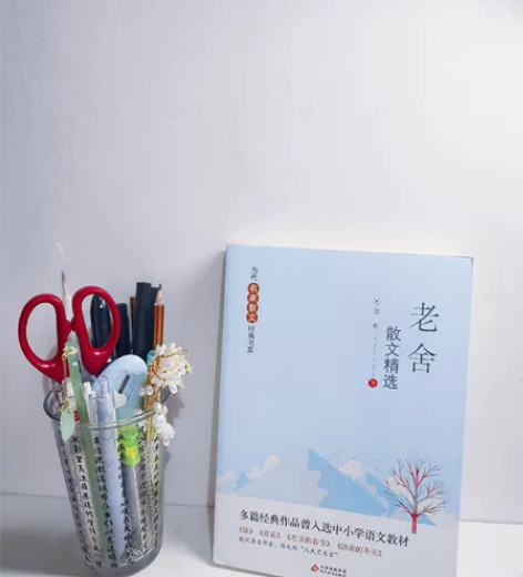 适合中小学读物，名家之作，全新！巴金散文精...