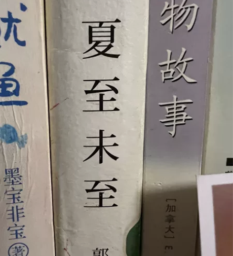 白敬亭陈学冬主演原著小说郭敬明原创夏至未至...