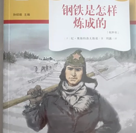 钢铁是怎样炼成的 感兴趣的话点“我想要”和...
