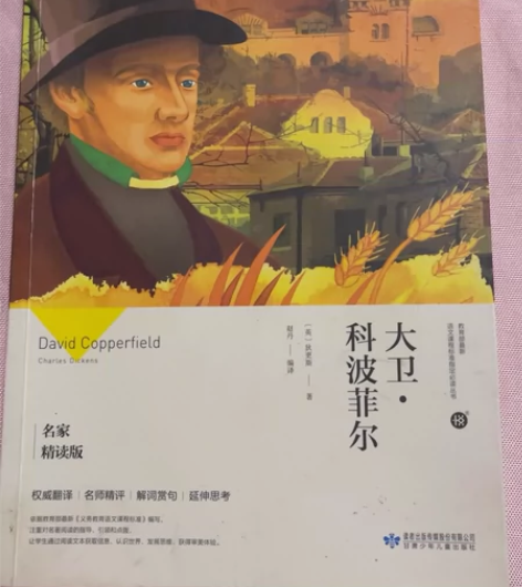 （大卫.科波菲尔）精读版。这个是必读的。妹...
