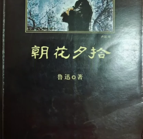 鲁迅《朝花夕拾》，闲置物品断舍离，看好拍，...