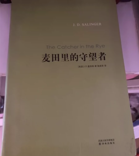 麦田里的守望者、围城 【旧书闲置】10元一...