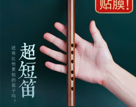 古风初学苦竹笛子成人零基础F调儿童G横笛入...