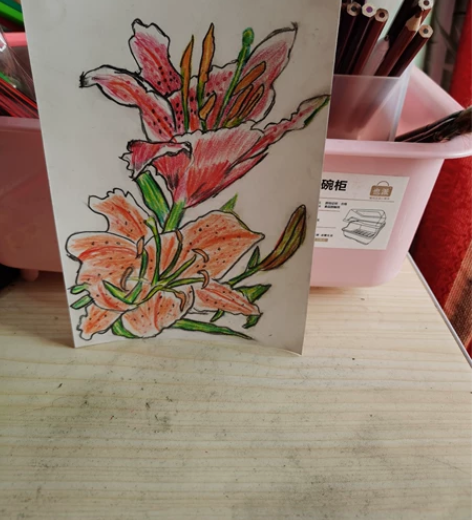 32k卡纸彩铅画百合 纯手绘，满25元包邮...