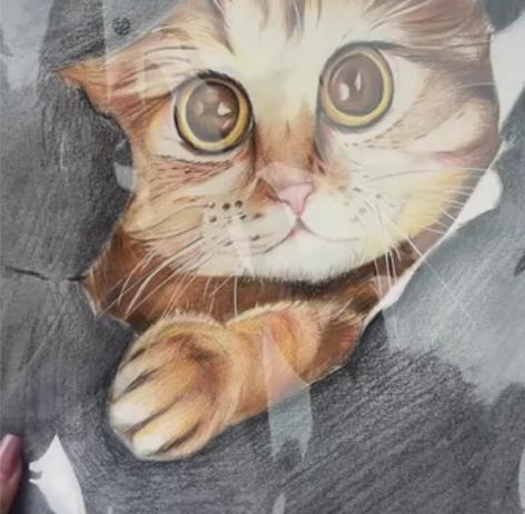 彩铅画50元 感兴趣的话点“我想要”和我私...