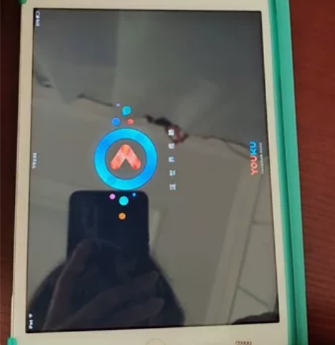 苹果平板mini1无暗病16g，主要功能是...