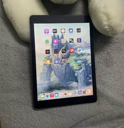 老爸送的ipad2019，本来是考研学习用...
