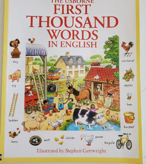 閒置原版書 看图识1000语法单词 F...