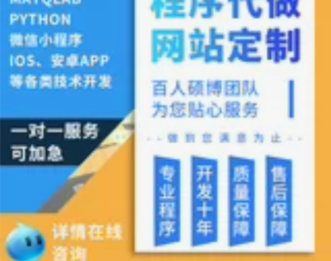 java爬虫大数据php代做python代...