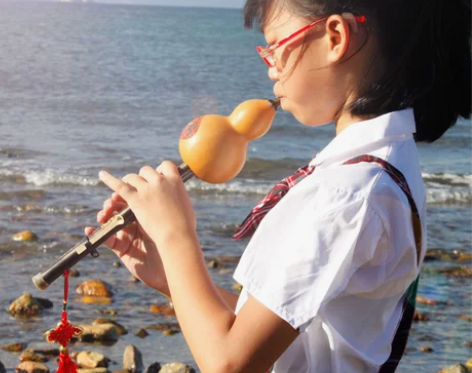 云南葫芦丝乐器初学降B调C调小学生紫竹专业...