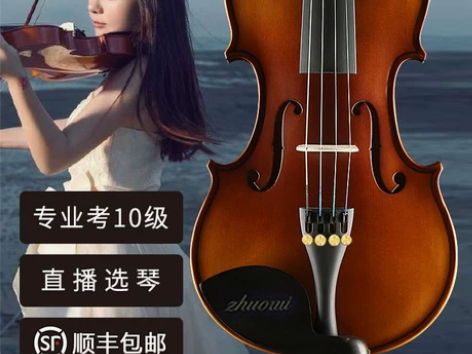 浩成进口实木小提琴初学者手工专业级儿童成人...