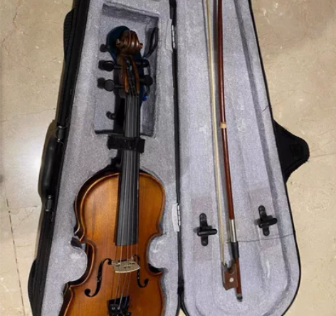 女儿小时候用的，初阶小提琴，适合小学生！ ...