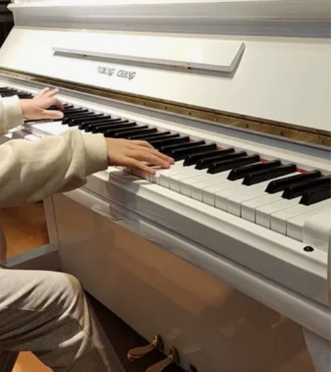 英昌U121NCO，白色公主范，韩国本土产...