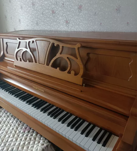 韩国英昌琴，自己孩子用，因为孩子不定性不想...