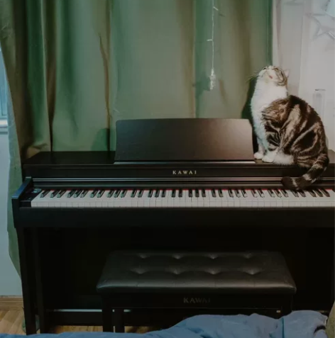 超低价全新CN201卡哇伊电钢琴CN29全...