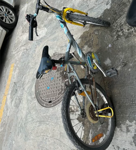 儿童自行车，20 寸，迪卡侬，变速突然不好...