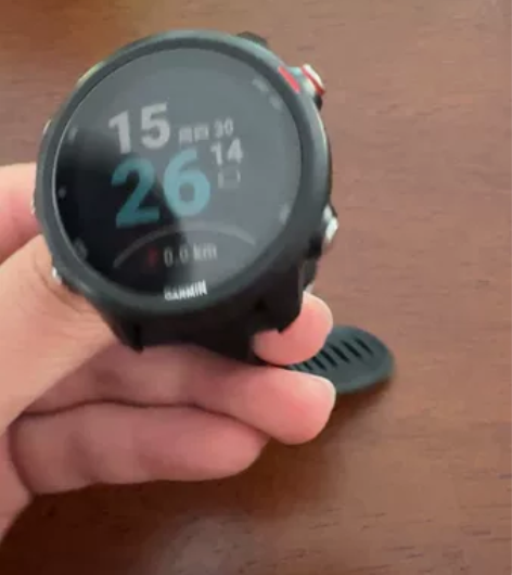佳明245m Garmin 佳明forer...