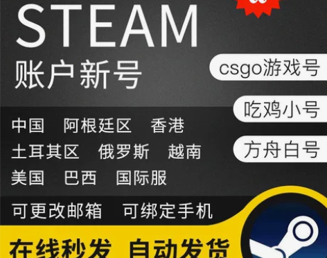 Steam账号 全新账户  新号 阿根廷土...