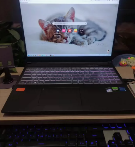 MECHREVO/机械革命 旷世 G16 ...