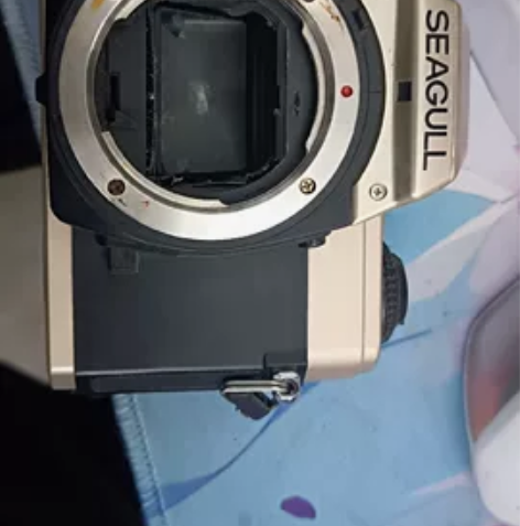 海鸥300GD 感兴趣的话点“我想要”和我...