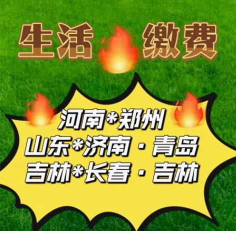 河南，山东，吉林话费充值1000 24h内...