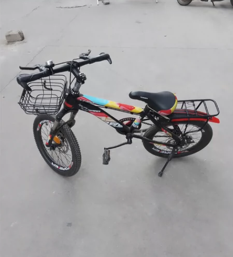 永久折叠车～95新～9月份淘宝1569元购...