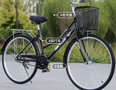 实体店不开了，清仓处理上海老凤凰，成人自行...