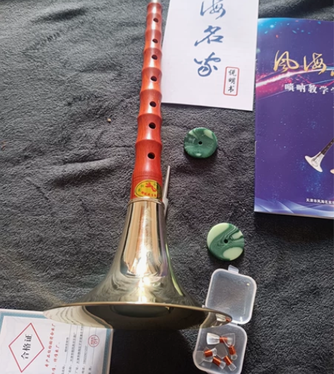 特价转让原价300多的初学专业演奏级唢呐D...
