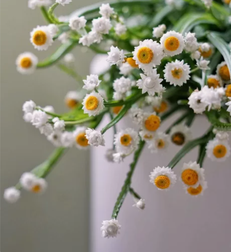 石家庄二环内鲜花配送 有实体店可以包月 欢...