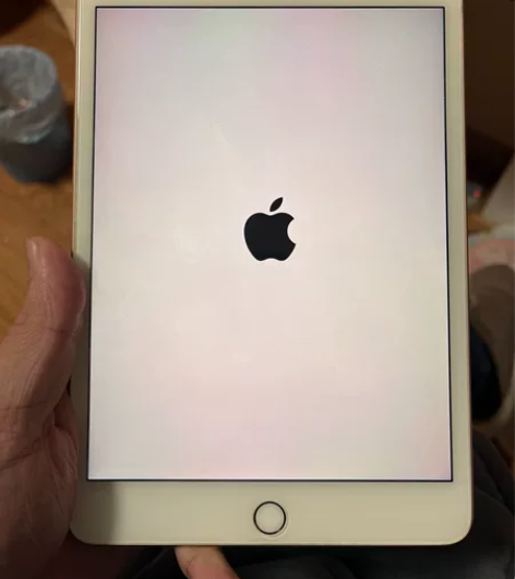 出一台本人自用ipad mini5 未拆未...