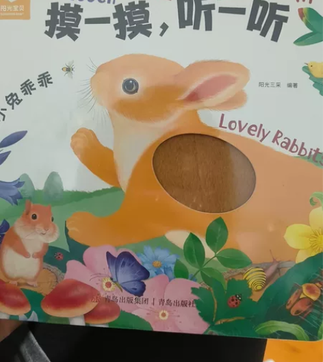 阳光宝贝，小兔乖乖。全4册-摸一摸听一听 ...