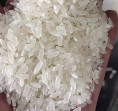 农家自产五常大米长粒香，23年新米新磨， ...