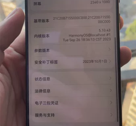 闲鱼买来做项目的华为mate30二手机,麒...