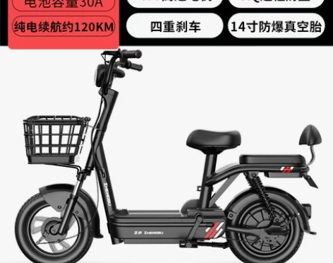 【狂欢价】正步爱玛台铃新日同款电动车锂电池...