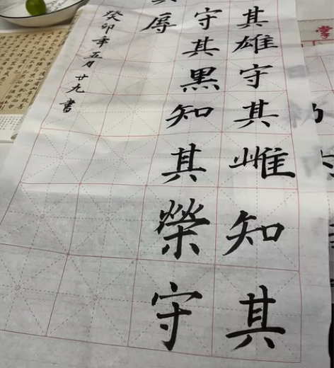 优质练字稿，10张包邮，1元一张，可以定制...