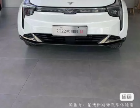 便宜的新能源11.xx米，又亏5米多 【车...