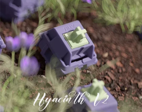 出闲置轴体【风信子轴V2】厂润67颗 已上...