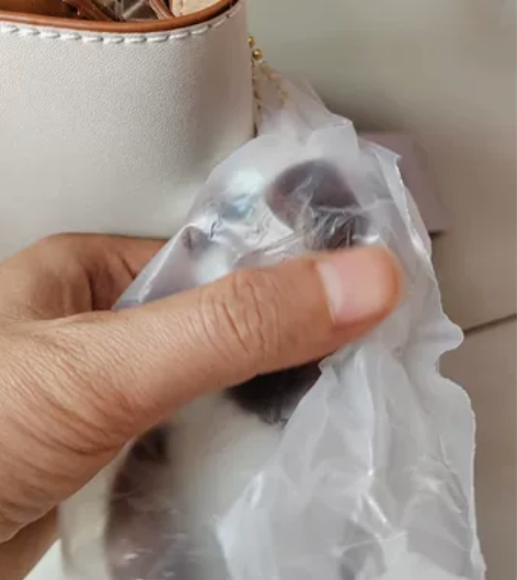 #百搭水桶包 cnoles蔻一斜挎包包女新...