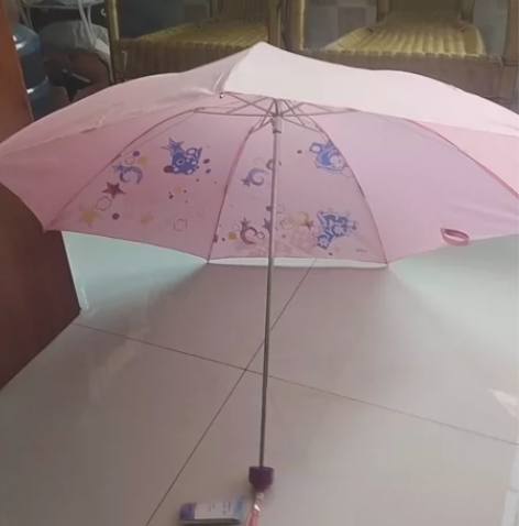 开店剩下的天堂伞，发价都是十好几块钱，现在...