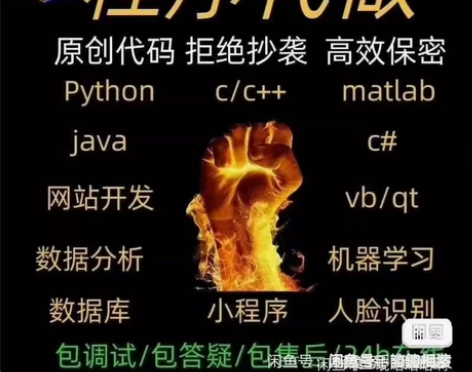 python代编程matlab软件开发代编...