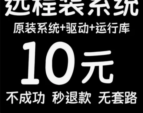 远程重装系统 WlN7/10/11家庭版专...