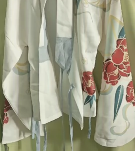 【十三余 小豆蔻儿】[东风一梦] 印花短袄...