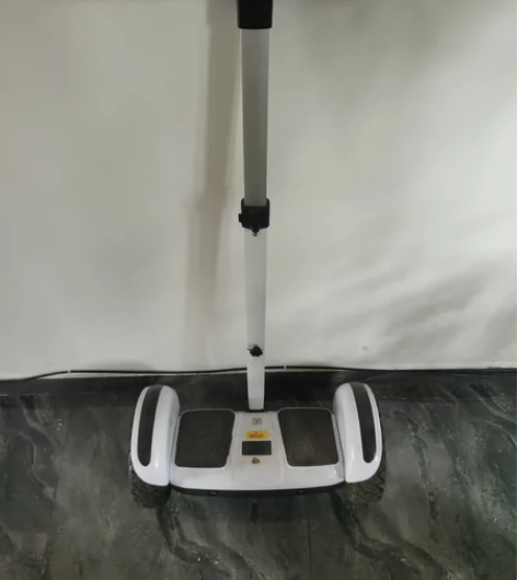 德国ZOLA2023新款平衡车儿童体感智能...