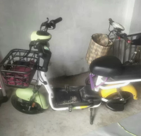 绿源电动车电动自行车48V12A乐骑FBG...