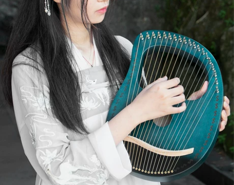 莱雅琴男女初学者16弦小众乐器原木19弦小...