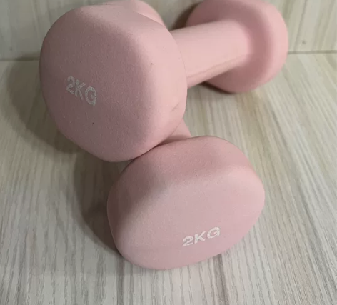 全新 朗威哑铃女士健身家用器材儿童男士纯铁...
